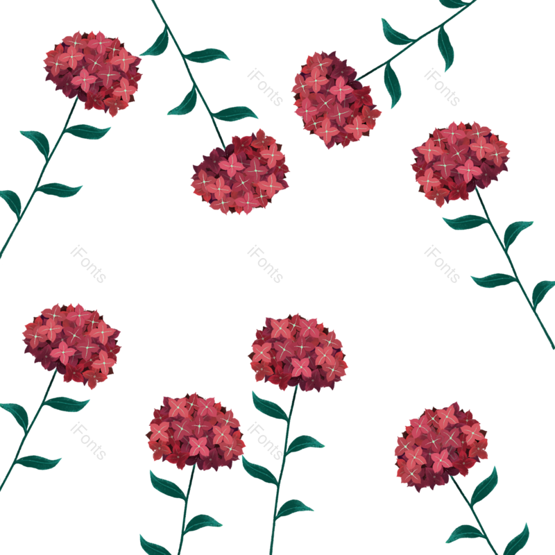 花卉图片,植物元素,手绘PNG,免抠素材